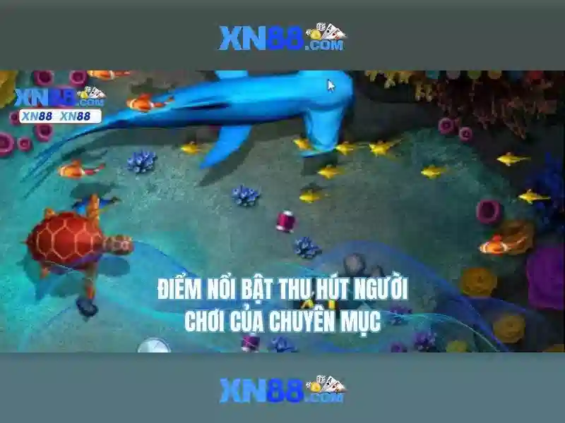Kết luận