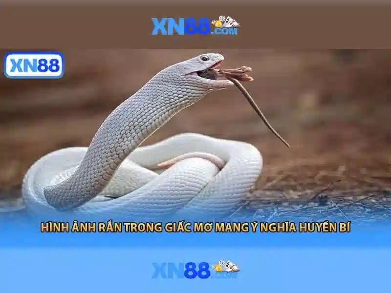 xn88 ap – tổng quan chủ đề và giá trị cốt lõi