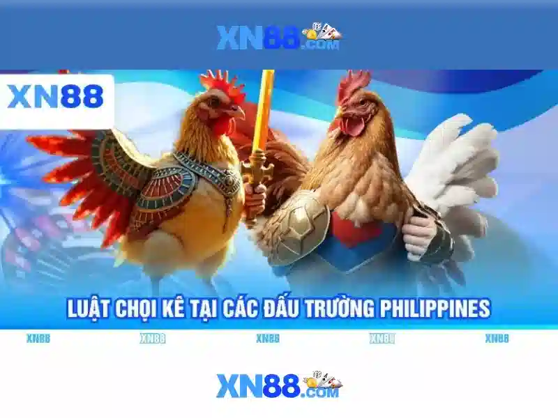 Khái niệm về xn88
