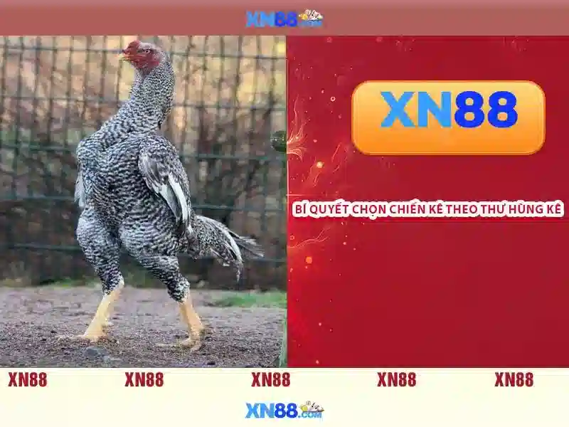 Nguồn gốc và sứ mệnh của xn88-lin***.com