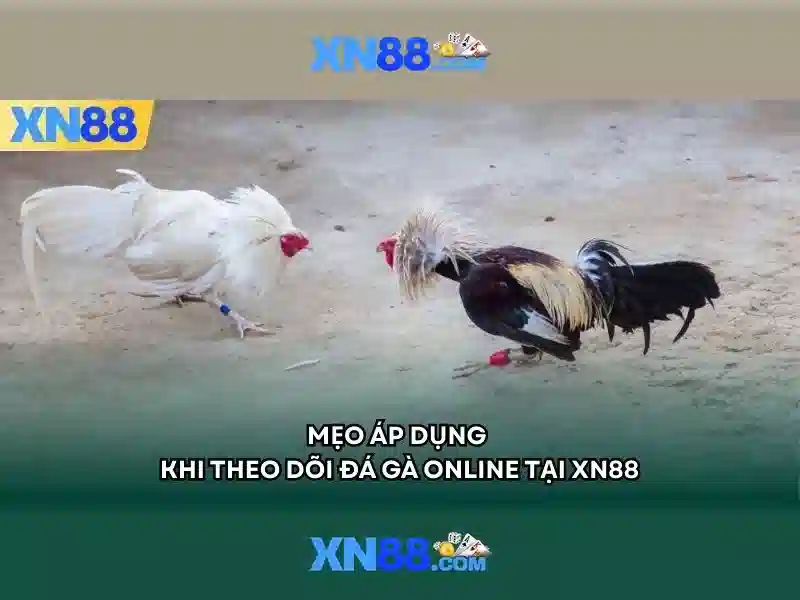 Giới thiệu về xn88