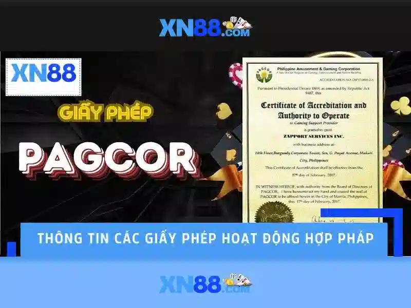 XN88 là gì?