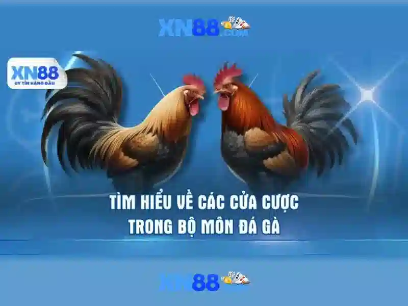 Giới thiệu về xn88