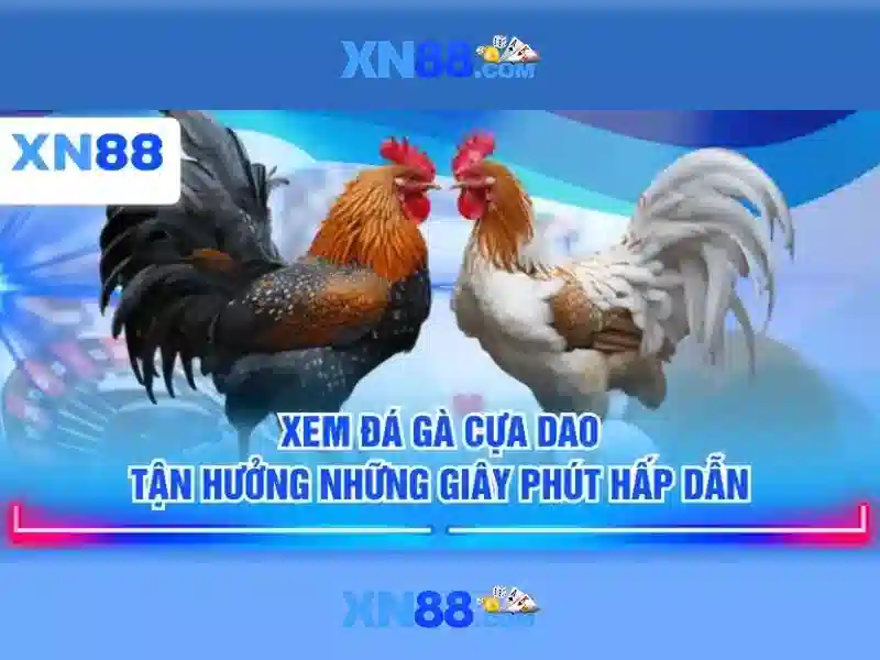 Tổng quan và Giá trị Cốt lõi của xn88