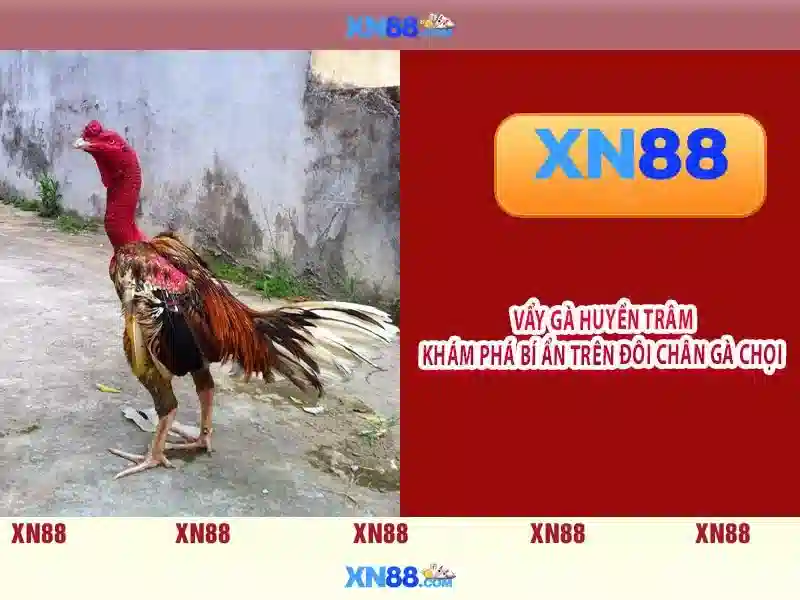 Tổng quan chủ đề và giá trị cốt lõi