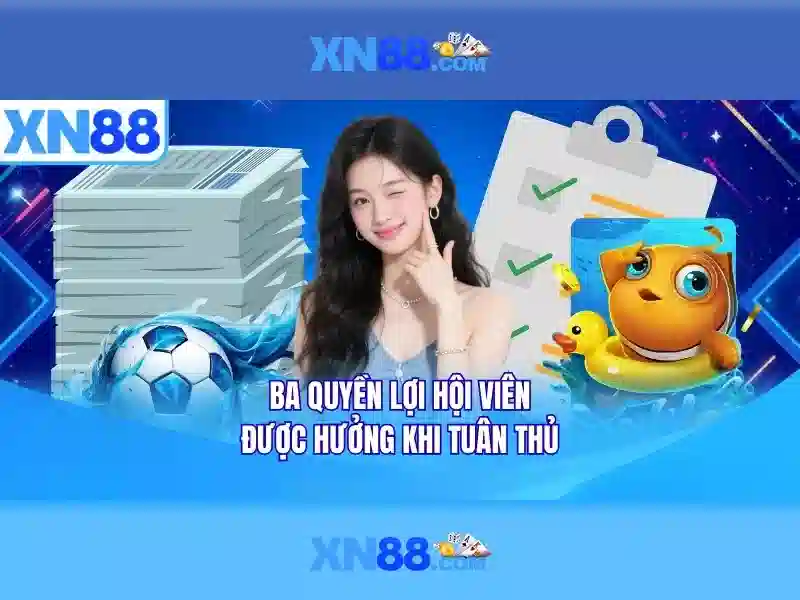 Giao diện và trải nghiệm người dùng