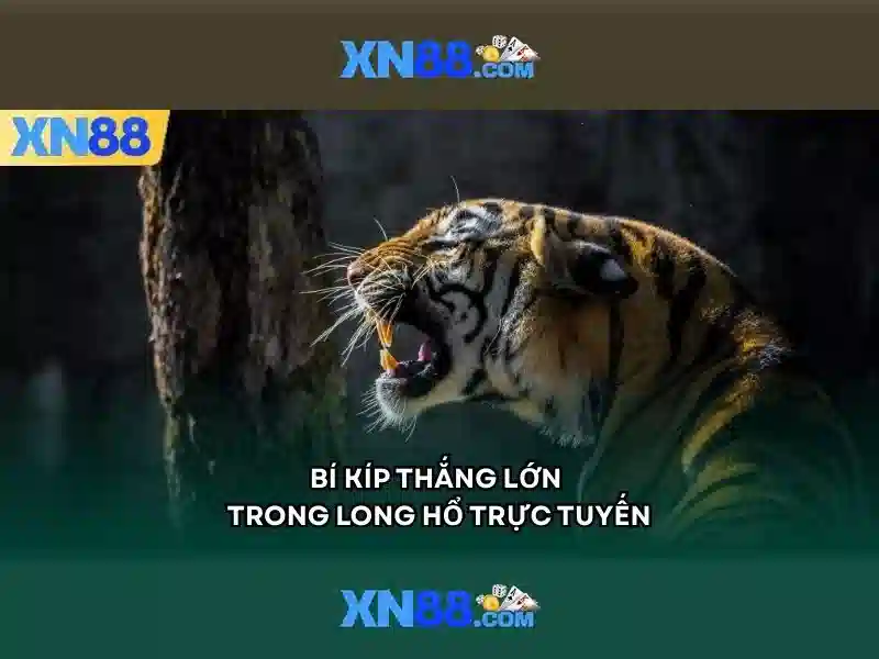 xn88 .com – Tổng quan chủ đề và giá trị cốt lõi