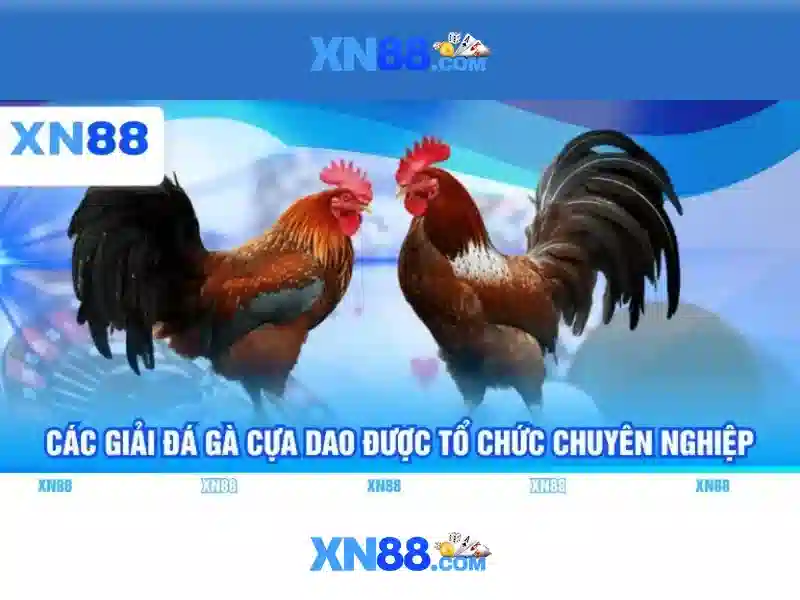 Các tính năng nổi bật của XN88