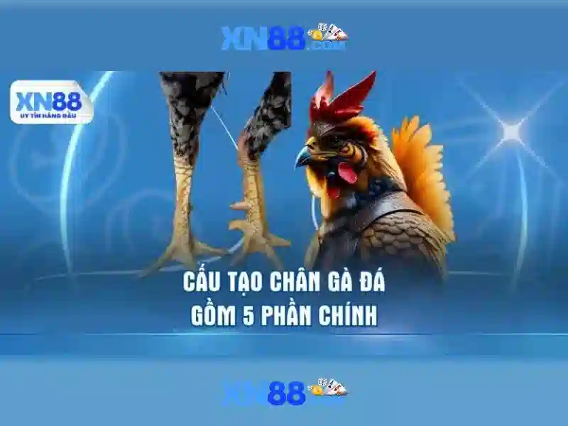 Bảo mật và lưu ý khi chơi