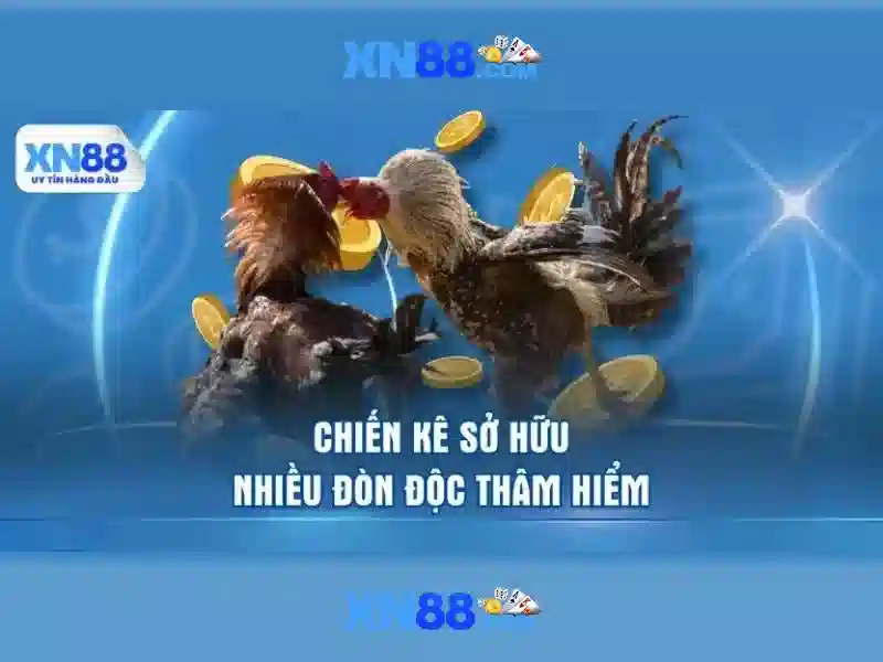 Tính năng nổi bật