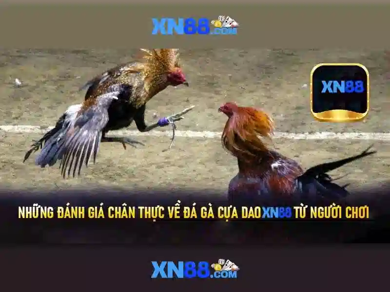 Các tính năng nổi bật