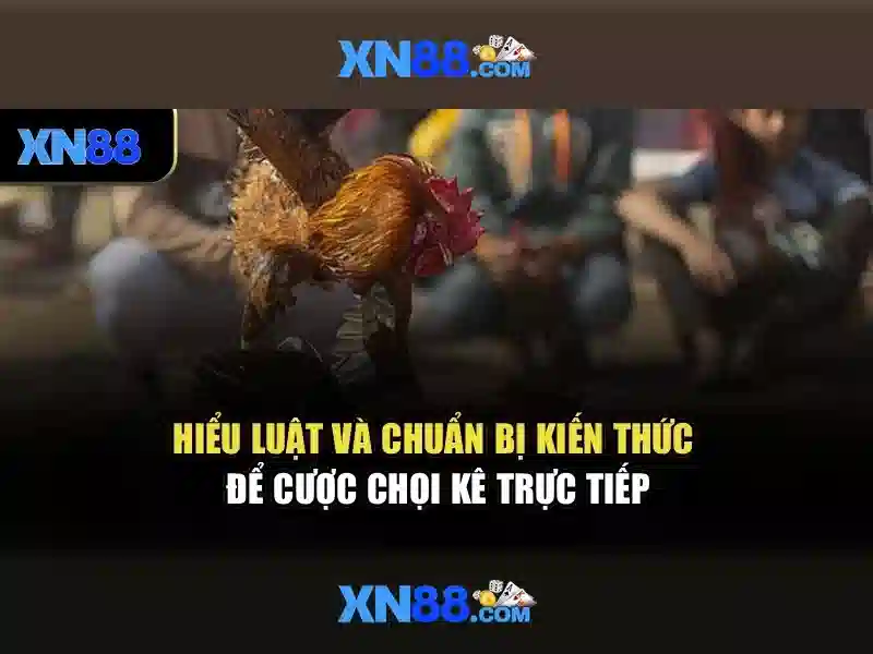 Kết luận về xn88