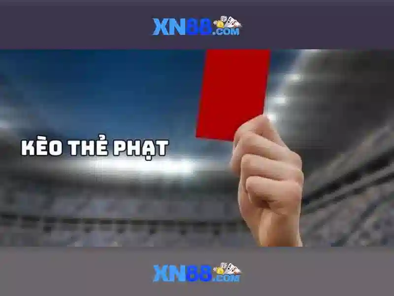 Giới thiệu về xn88