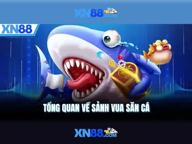 Trải nghiệm người dùng