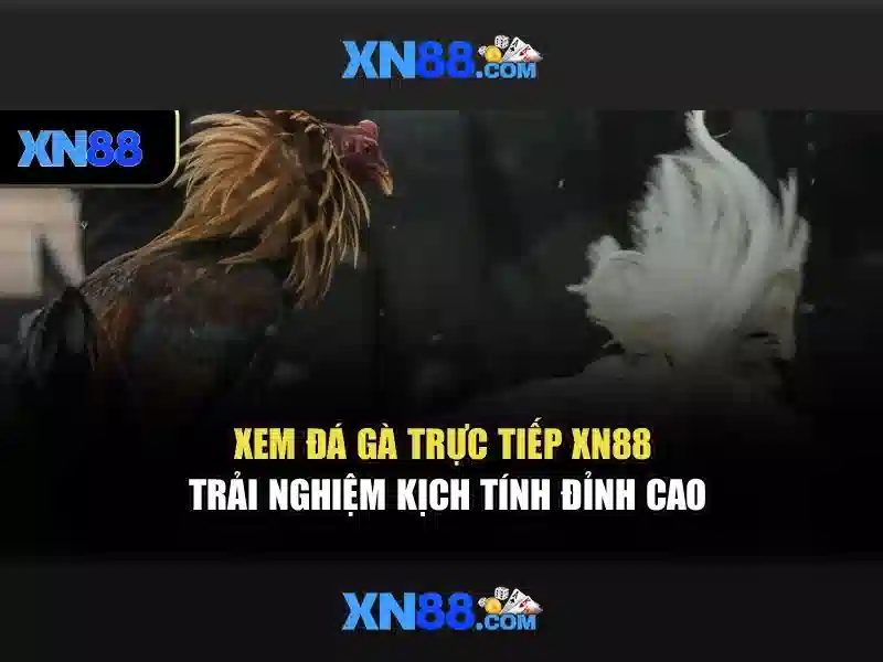 <!--IMG_PLACEHOLDER alt>An toàn và thanh toán-->