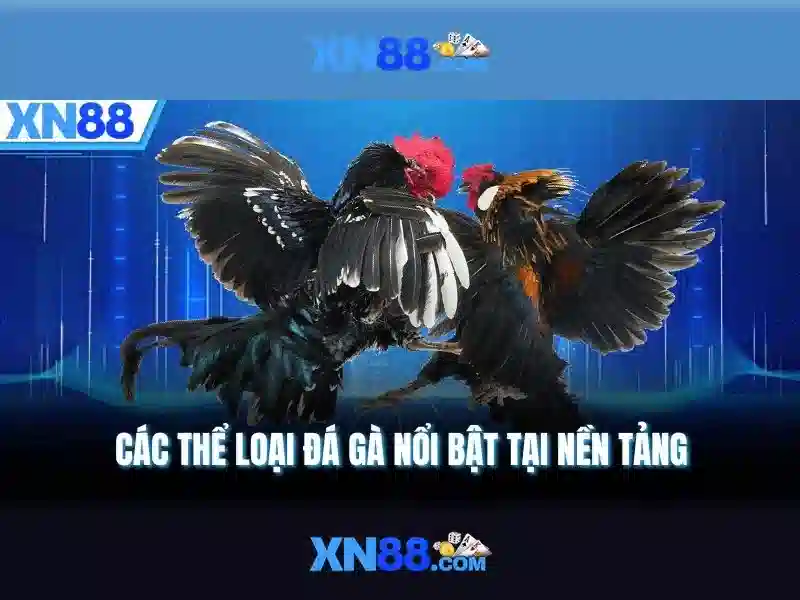 Các tính năng nổi bật của xn88 cho người chơi