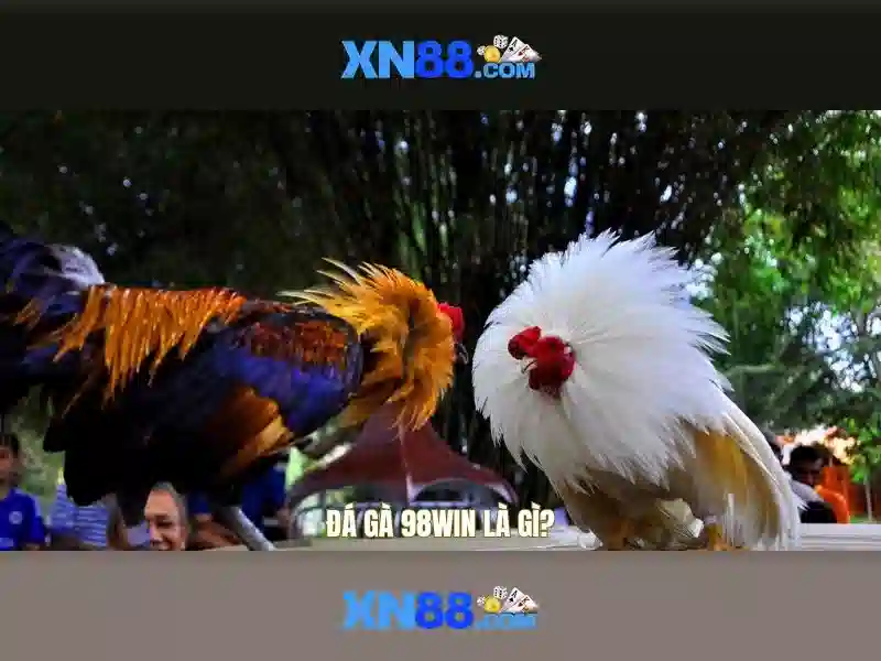 Hướng dẫn sử dụng cơ bản
