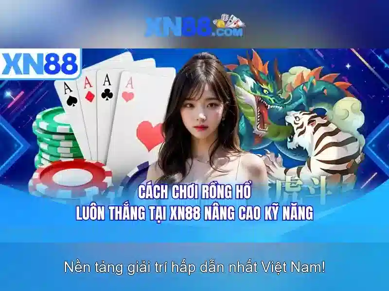 Các sản phẩm và dịch vụ của xn88