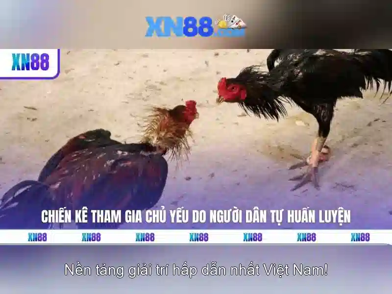 Lịch sử và nguồn gốc