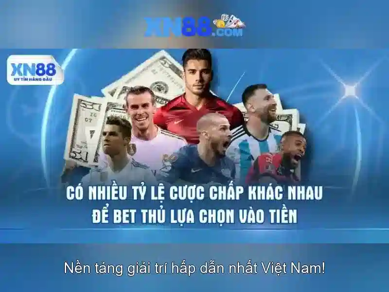 Các tính năng nổi bật