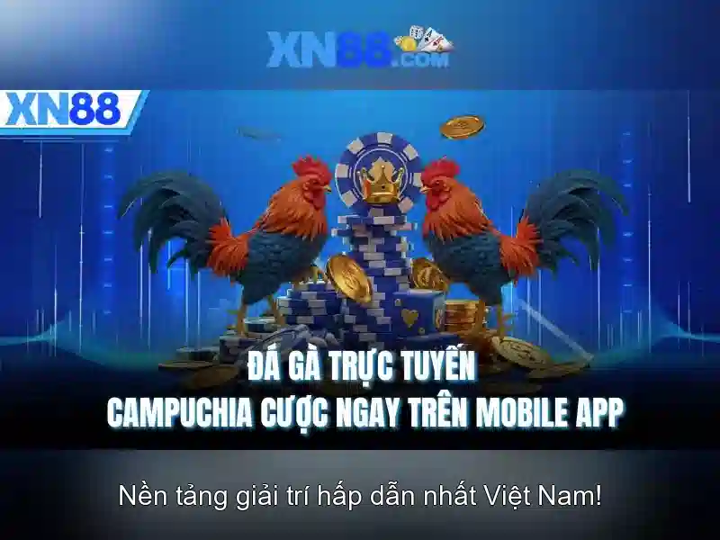 Khuyến mãi và chương trình khách hàng thân thiết\n\n<h2><b>Hướng dẫn đăng ký và chơi xn88</b></h2>\n<p><span style=