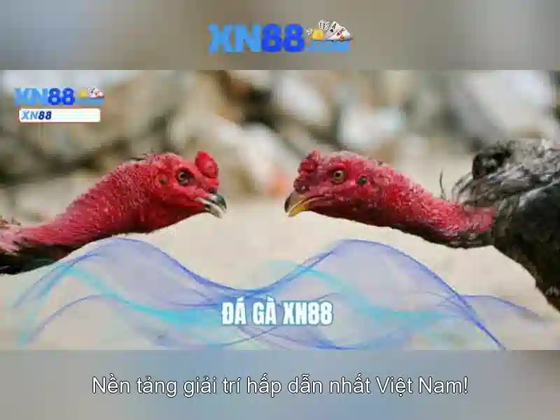 xn88: Nền tảng cá cược trực tuyến chất lượng