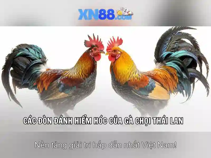 Khuyến mãi và thanh toán
