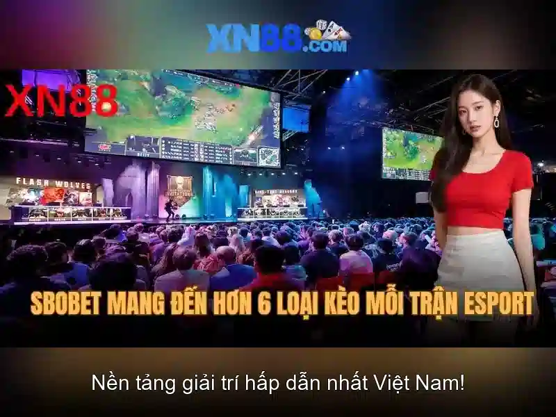Giao diện người dùng và trải nghiệm di động