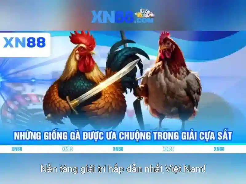Trải nghiệm người dùng và an toàn