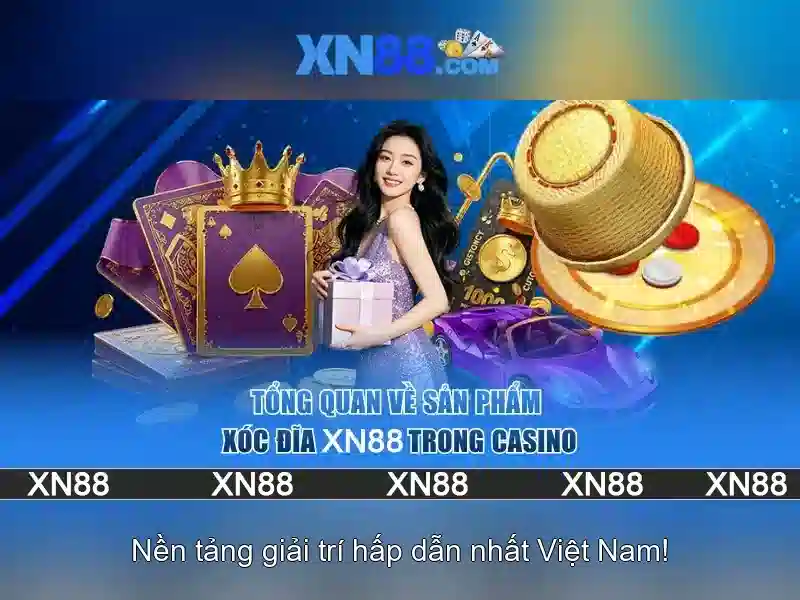 Trải nghiệm người dùng và hỗ trợ