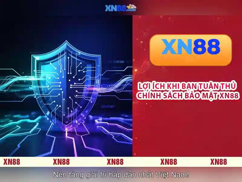 Nền tảng và dịch vụ