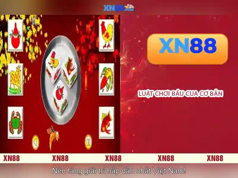 Nguồn gốc của xn88