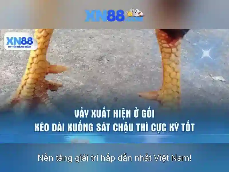 An toàn và bảo mật\n<p><span style=