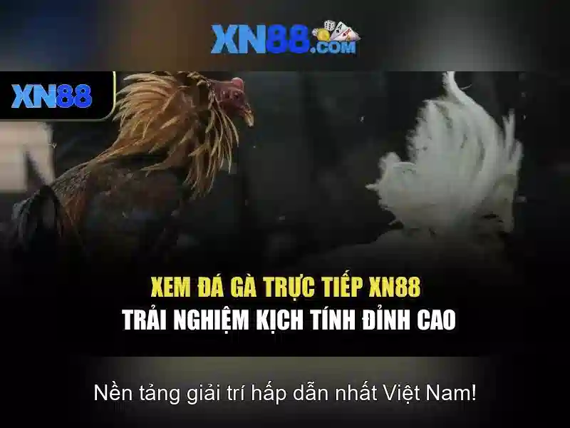 Lợi thế và cạnh tranh
