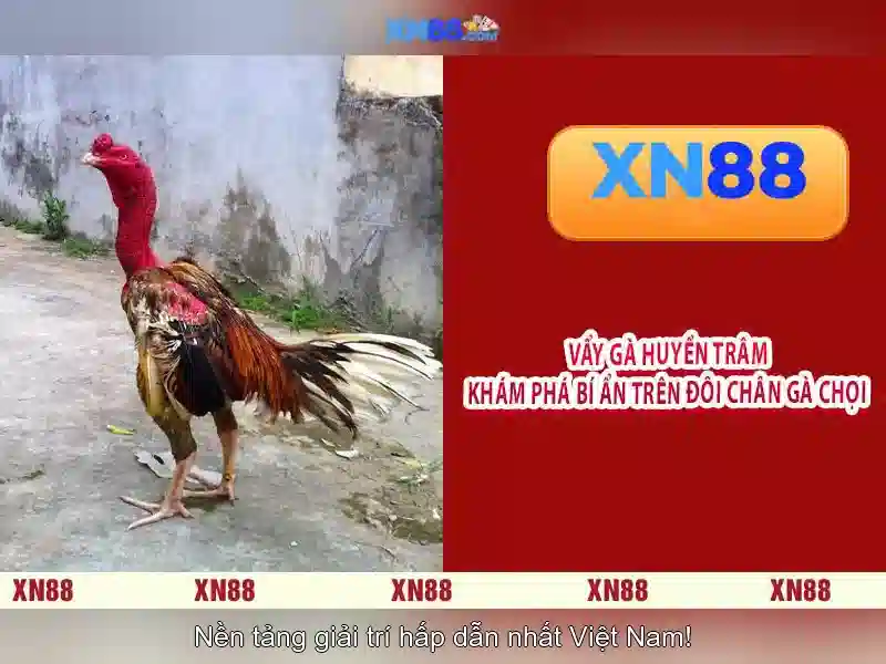 Giới thiệu về xn88