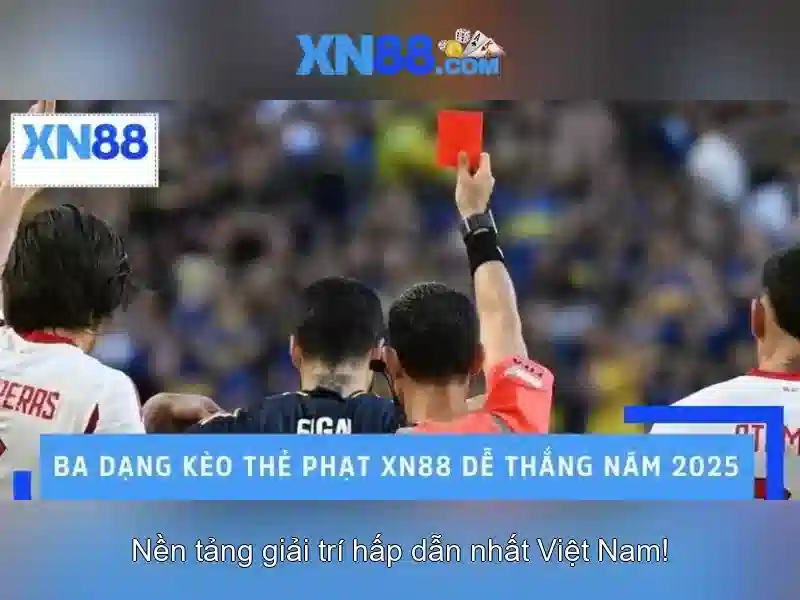 Kế hoạch phát triển và tương lai