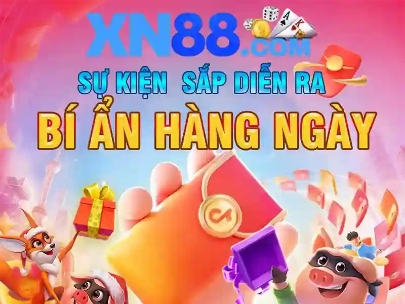 Trải nghiệm người dùng và phản hồi từ cộng đồng